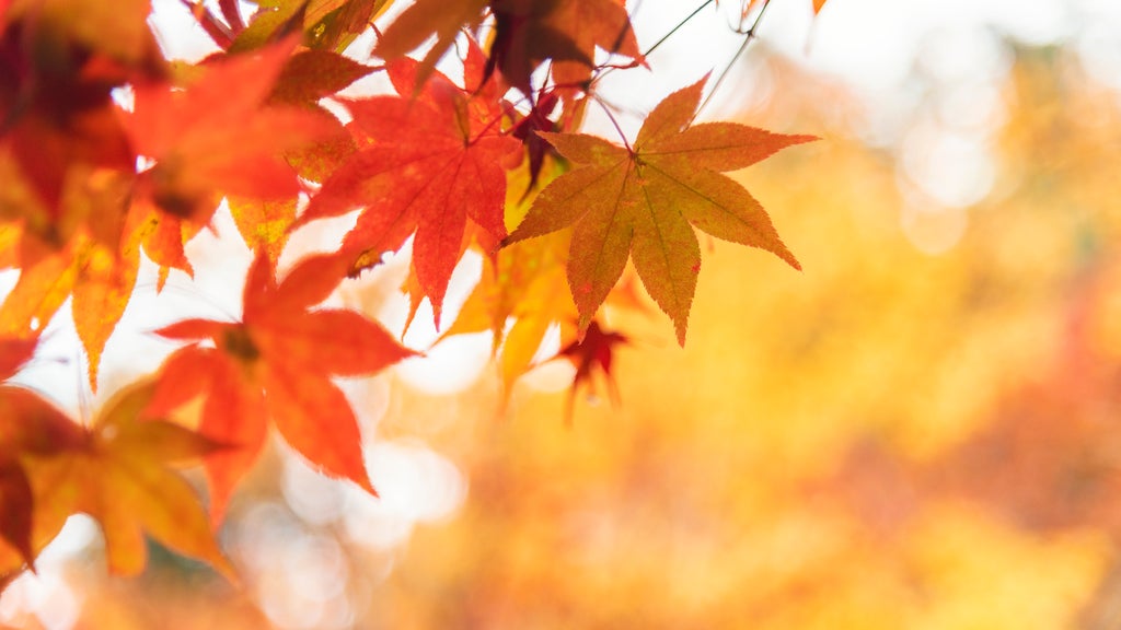 More sunny, mild late October weather in Minnesota Tuesday — WCCO / CBS Minnesota, Altamonte Springs Business news
