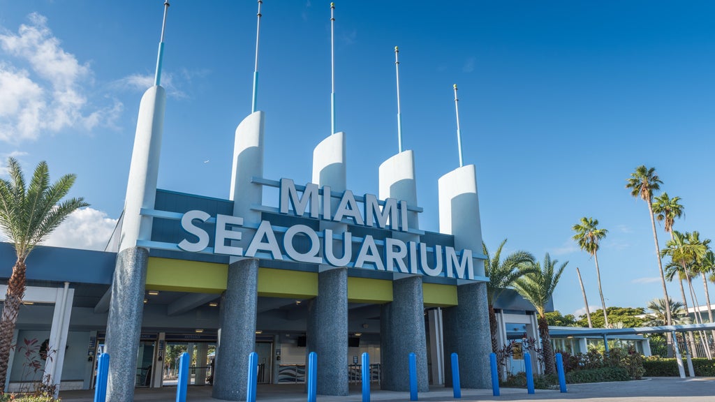 2 Miami-Dade residents sue to require countywide vote on Miami Seaquarium marina development plan — CBS Miami, Altamonte Springs Real Estate news