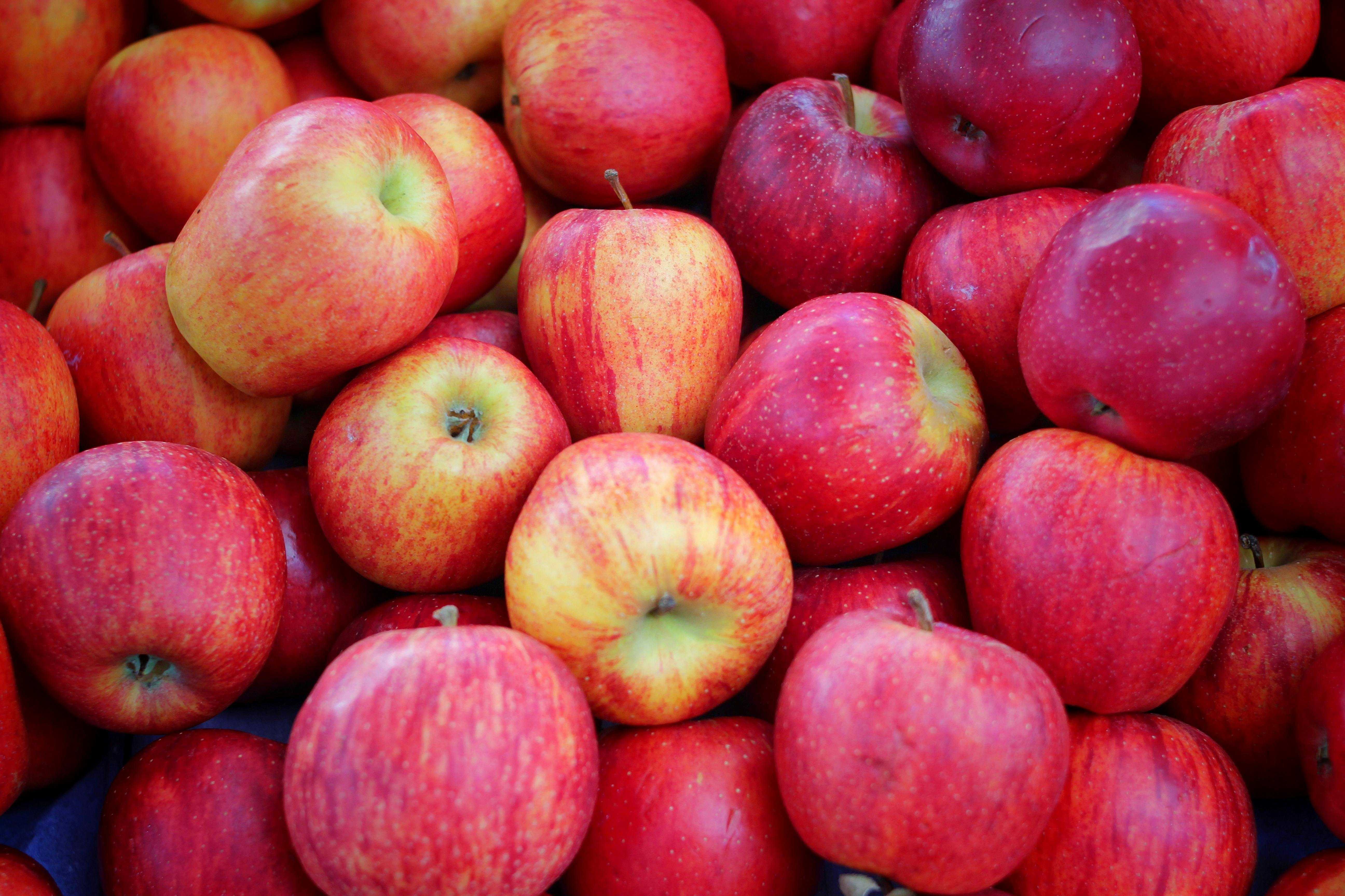 What happens if you eat an apple every day? A dietitian explains — WESH 2 Orlando, Altamonte Springs Health news