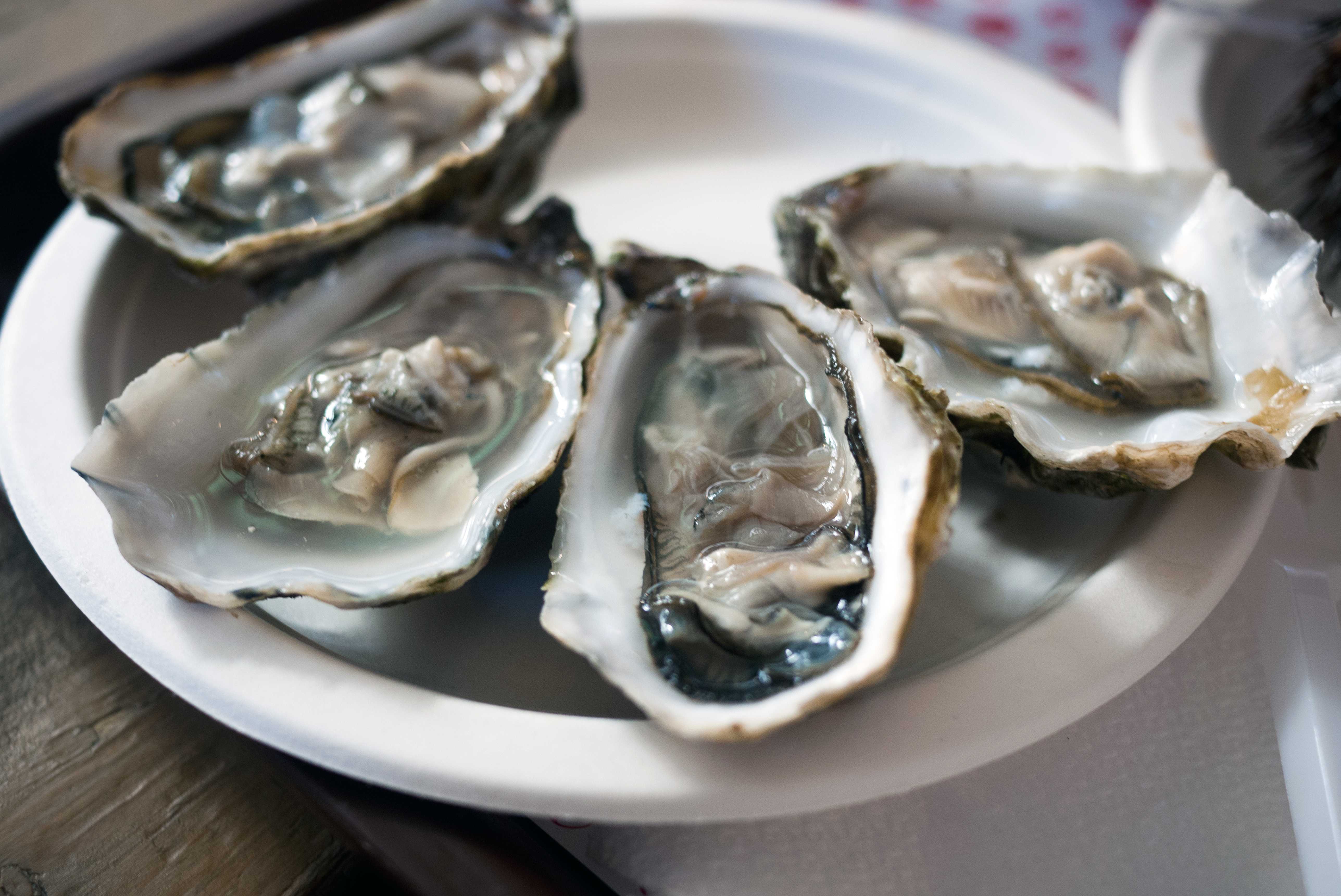 27 People Are Sick & 5 Hospitalized In A Multistate Raw Oyster Recall — WESH 2 Orlando, Altamonte Springs Dining news