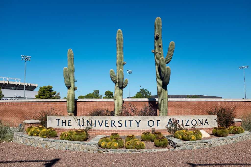 University of Arizona suspends fraternity activities as reports of misconduct persist — WESH 2 Orlando