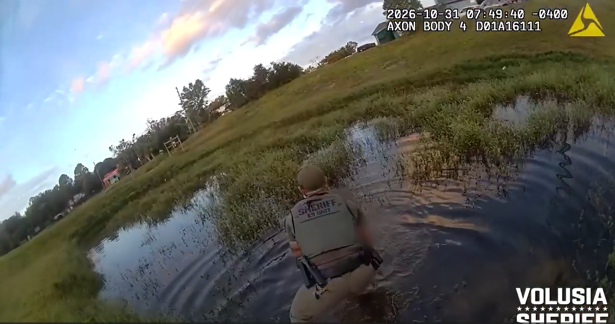 Watch: Deputies rescue 4-year-old from Deltona pond; parents arrested — WESH 2 Orlando