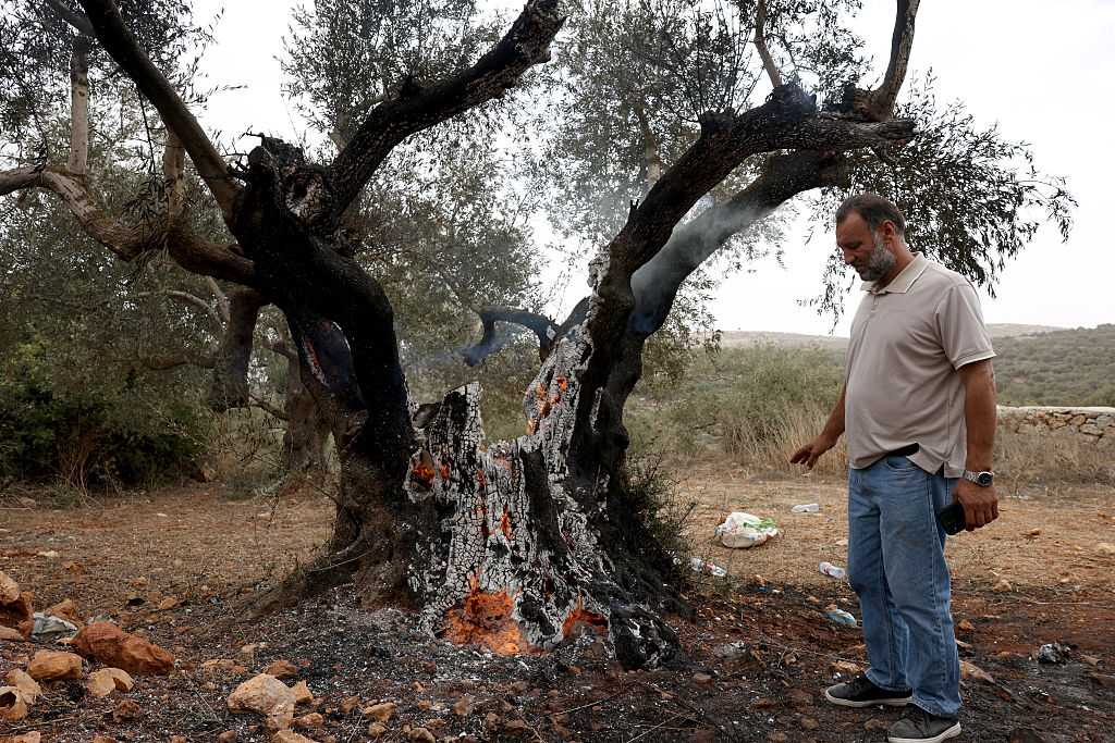 Masked settlers attack European diplomats in the occupied West Bank — WESH 2 Orlando