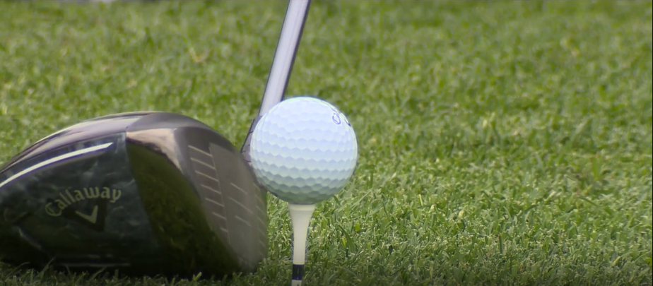 12th Annual Golf Quest in Central Florida supports individuals with developmental disabilities — WESH 2 Orlando