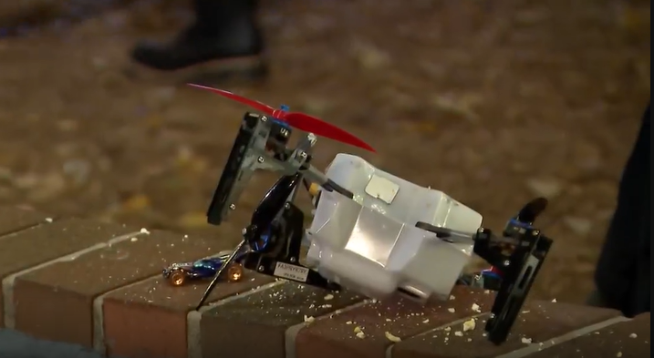 NTSB releases final report on 2024 drone crash that injured 7-year-old at Lake Eola — WESH 2 Orlando