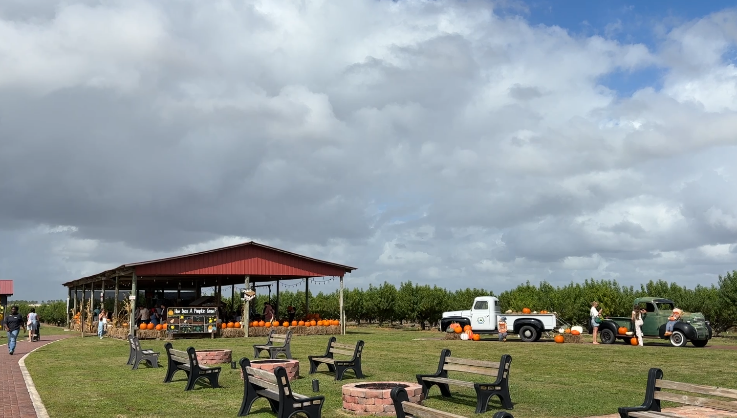 Southern Hill Farms hosts 11th annual fall festival in Clermont — Altamonte Springs Arts news