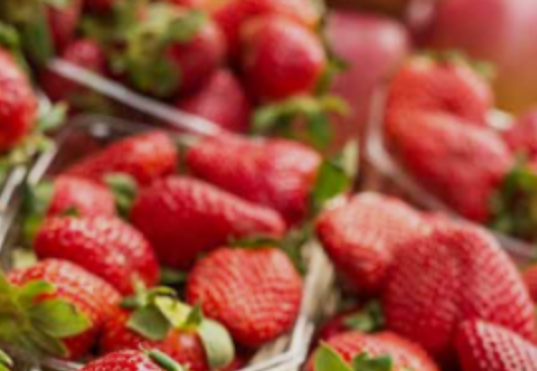 Strawberry farmer hopes steam holds the key to healthy soil and a better crop — WESH 2 Orlando, Altamonte Springs Health news