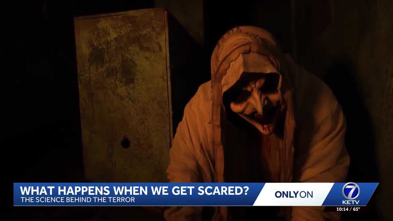 The science of being scared: What happens to your brain, body when fear strikes? β WESH 2 Orlando, Altamonte Springs Community news