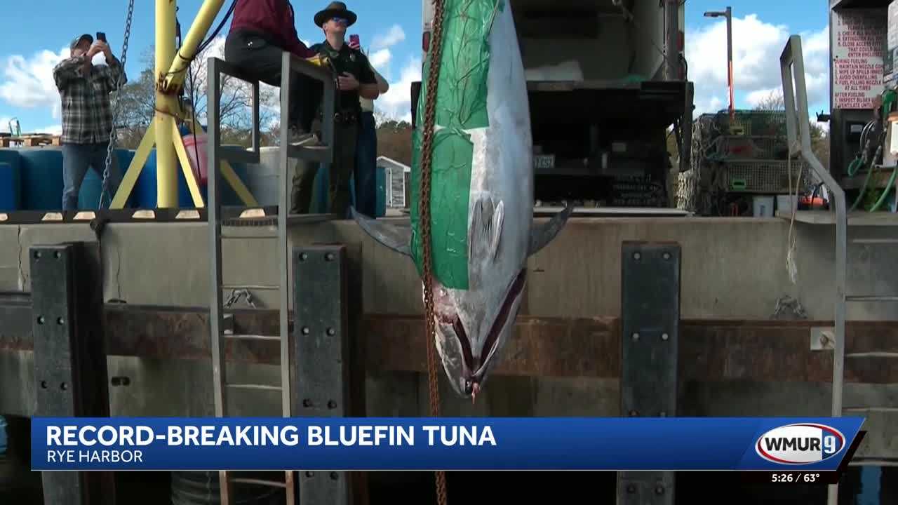'Something that you dream of': 1,116-pound bluefin tuna catch sets a record — WESH 2 Orlando, Altamonte Springs Community news