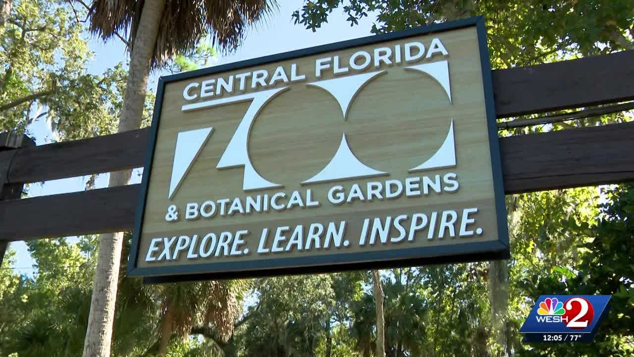 Officials gather to discuss new bipartisan bill to ban sloth imports — WESH 2 Orlando, Altamonte Springs Community news