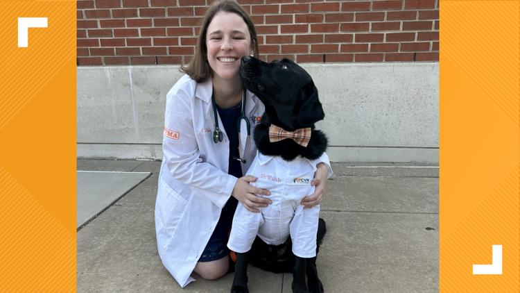 'Dogtor Walsh' reports for duty on the UT campus — KENS 5 (San Antonio), Altamonte Springs Schools news